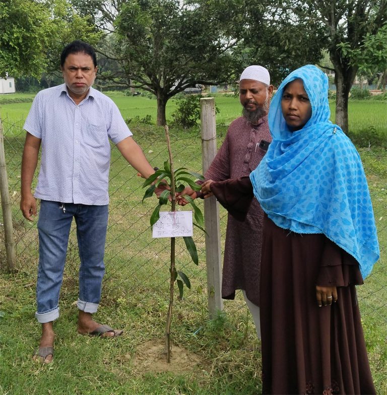 বার্ষিক বৃক্ষরোপণ কর্মসূচি ২০২৫ -এর ছবিসমূহ.